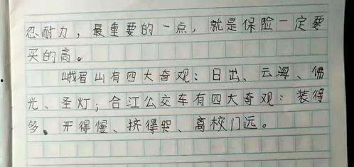 娱乐吃瓜酱小学生作文